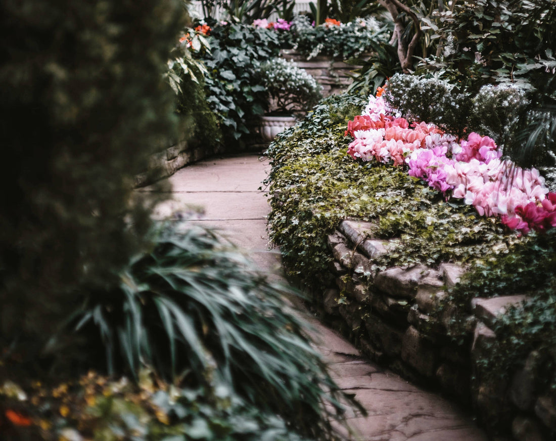 English Garden Path featuring pink flowers and trees