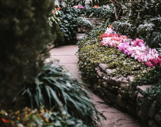 English Garden Path featuring pink flowers and trees
