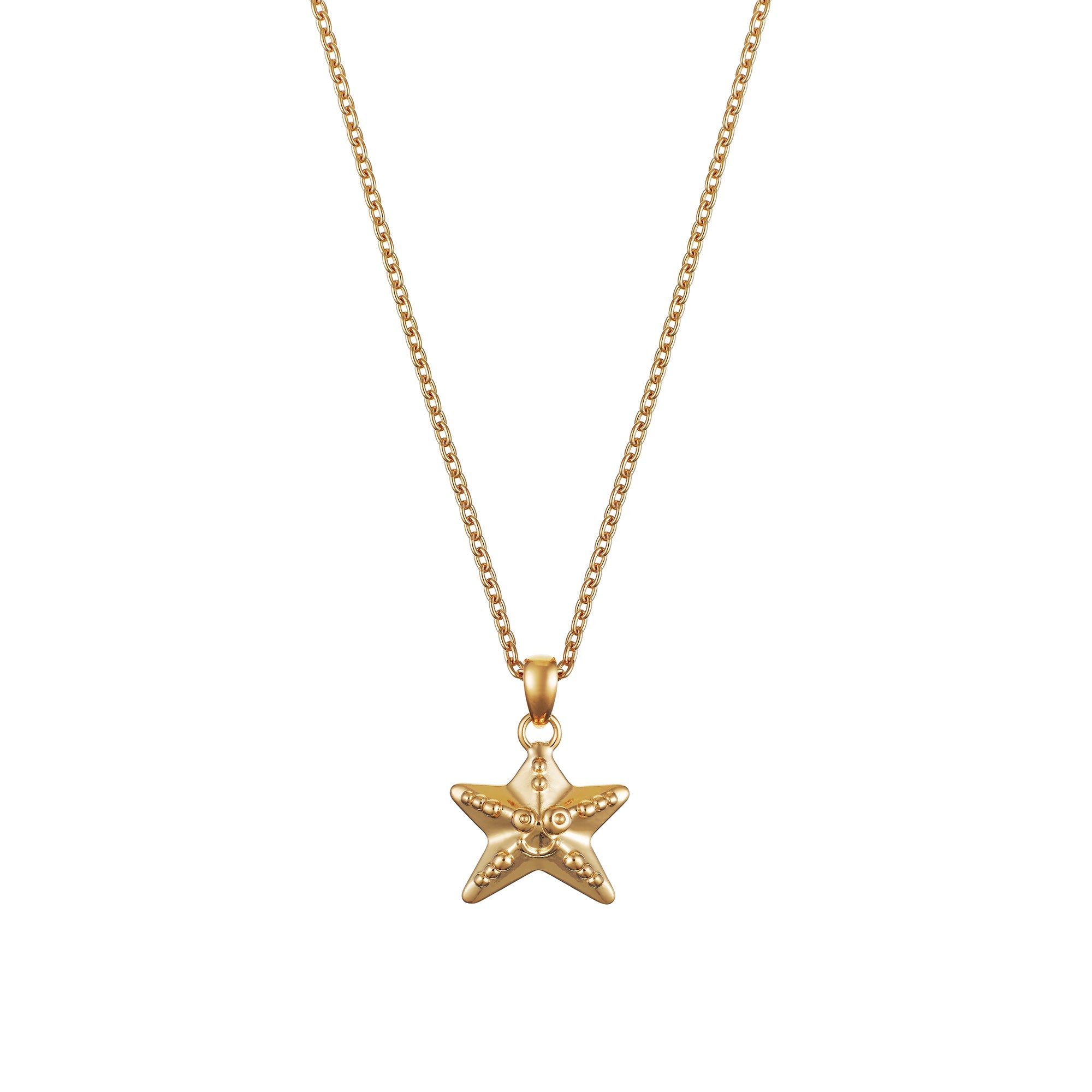 Starfish Pendant – Gogo Inc.
